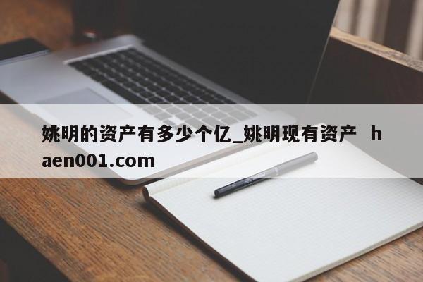 姚明的资产有多少个亿_姚明现有资产  haen001.com